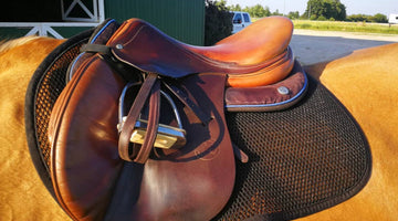 What's the best saddle pad to keep my horse from sweating, being so hot and overheating?