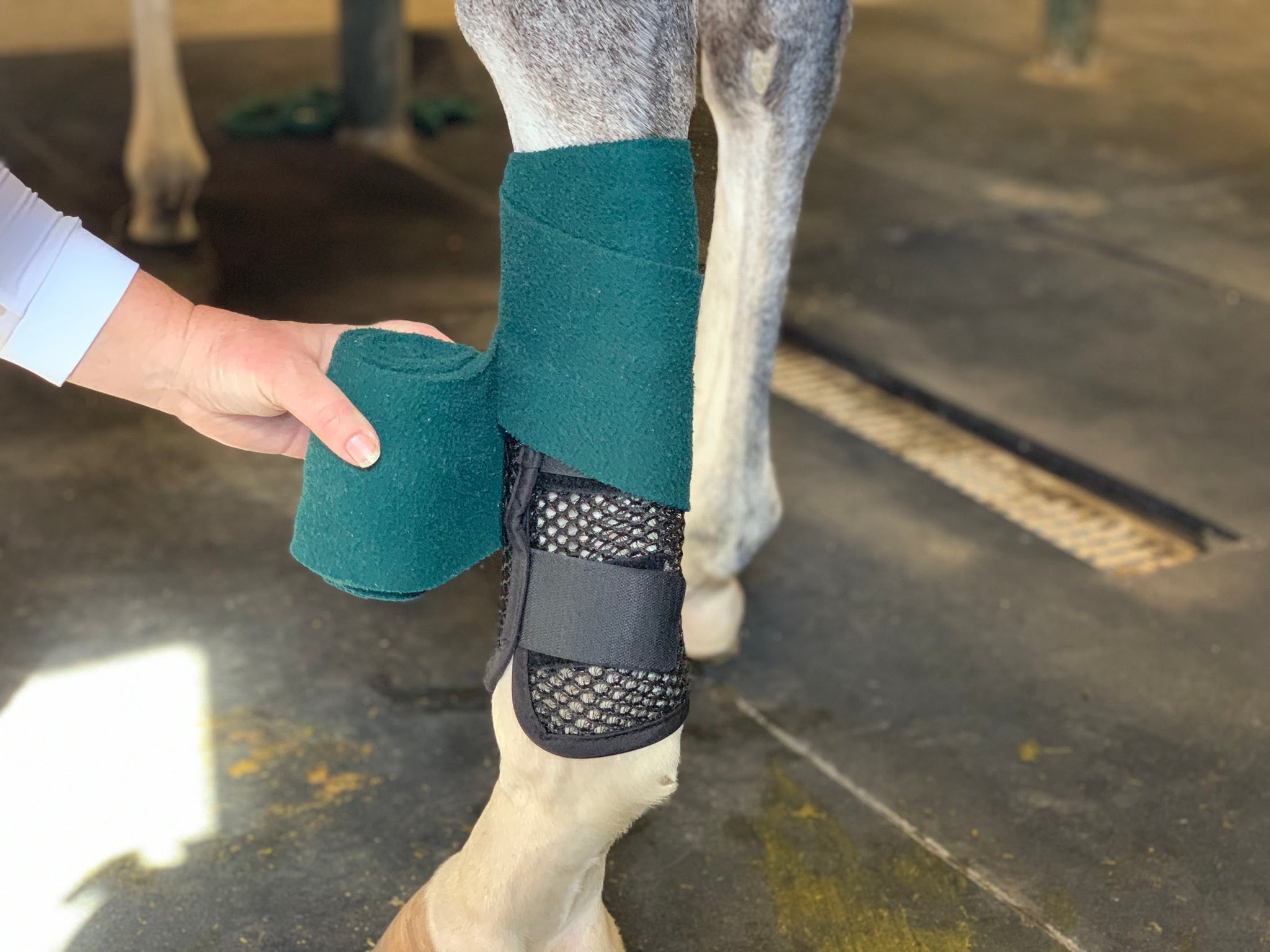 Equestrian Horse Airflow Turnout Socks Teal Cob